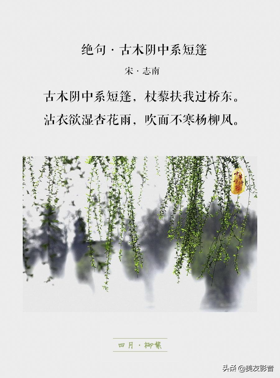 知识有哪些方面的,知识你了解了吗图片