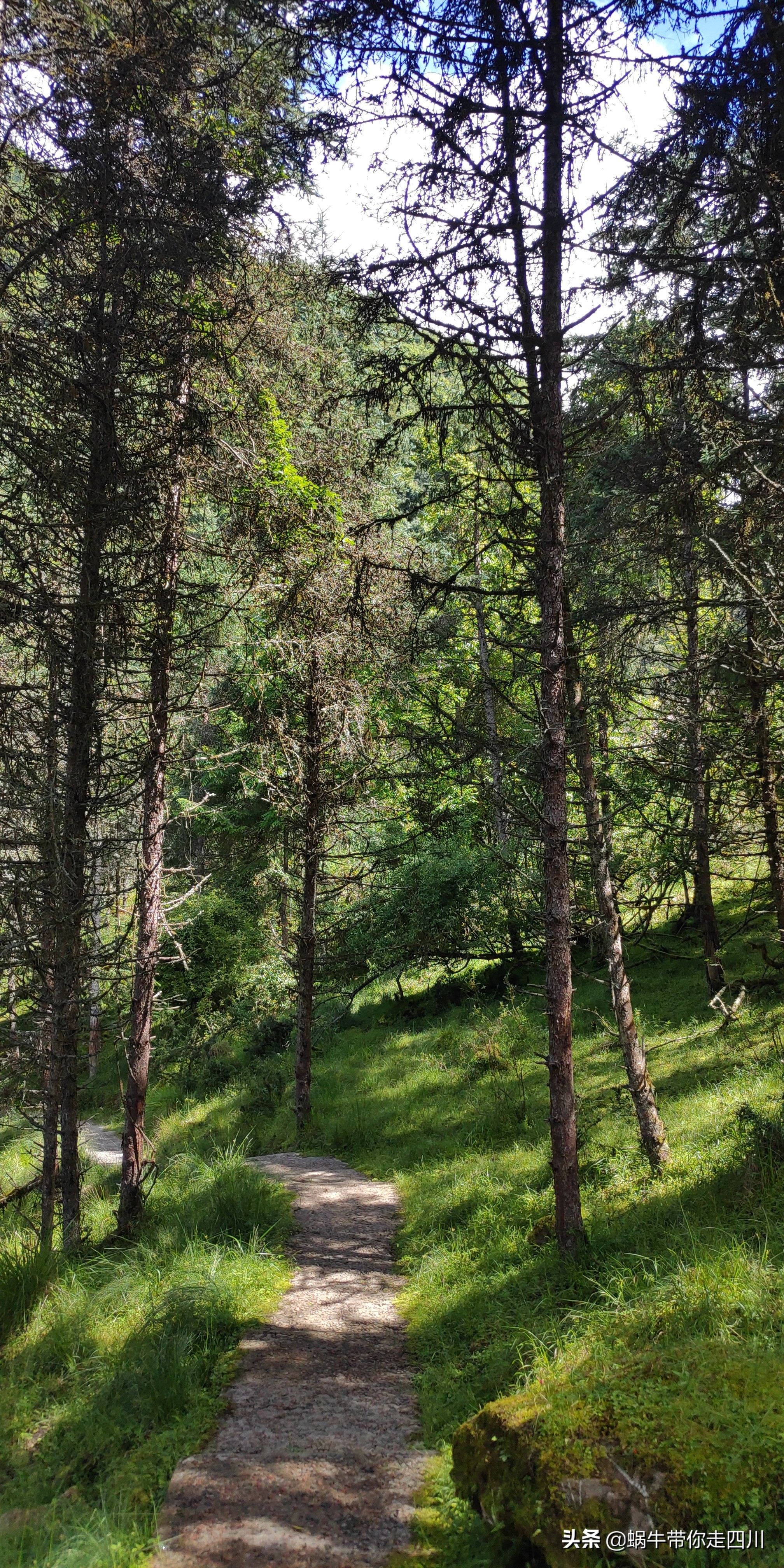 带小朋友出去看小动物,带小孩去海洋动物园