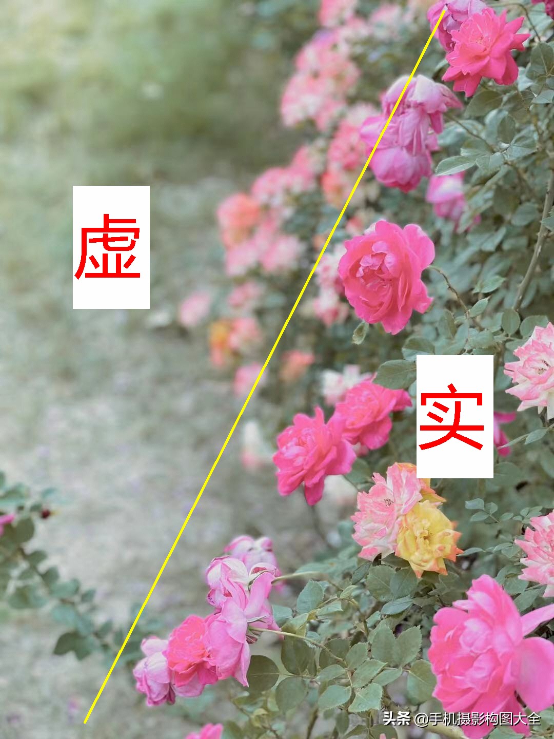 手机拍出人像大片的照片技巧,手机拍出清晰照片的20个技巧