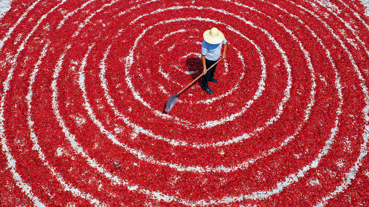 为什么说江西吃辣排行第一,江西吃辣鄙视链