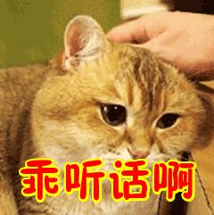 二岁误食减肥药怎么办,二岁孩误食减肥药的后果