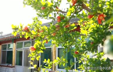 民宿木屋采摘园,休闲观光特色民宿生态采摘