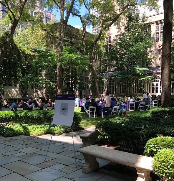 跻身全美前10，以严格录取出名，西北女神带你全方位搞定LLM申请