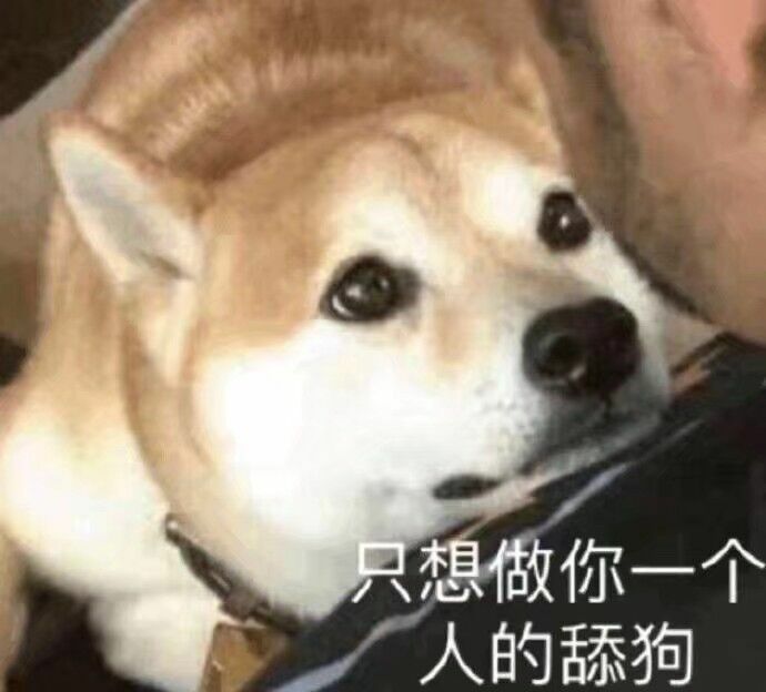 狗狗喜欢舔你银镯子,狗狗喜欢舔你