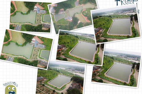 长沙一日游农家乐,长沙开福区团建农家乐场地推荐