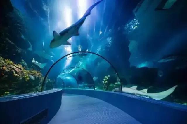 上海站到上海新国际博览中心地铁,上海地铁沿线景点排名