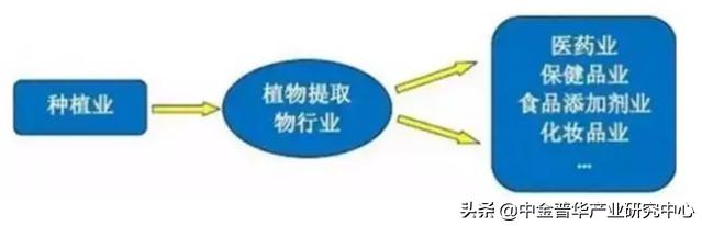 植物提取物市场格局分析商业计划书-中金普华
