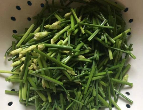 天然的清肠菜隔三差五吃一盘,什么菜是脂肪克星