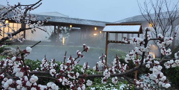 温泉，就得这么泡