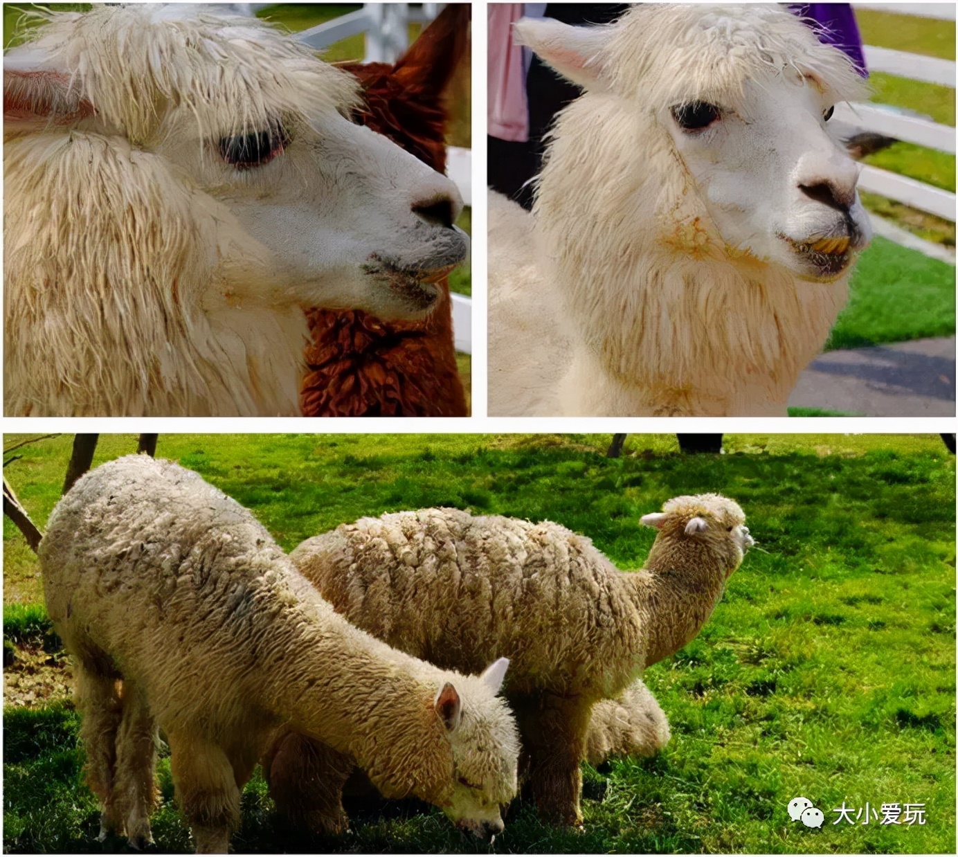 一边户外遛娃一边室内看展,盘帝都这些以数字命名的特殊建筑