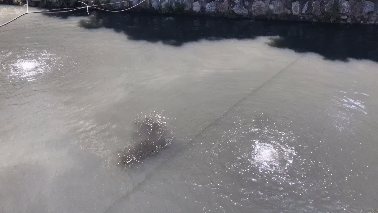 省级督察!常州这些地方脏乱差,涉遥观横山桥横林湖塘牛塘前黄洛阳雪堰湟里