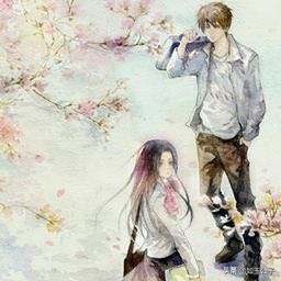 十年一品温如言温衡漂亮吗,十年一品温如言言希何时喜欢温衡