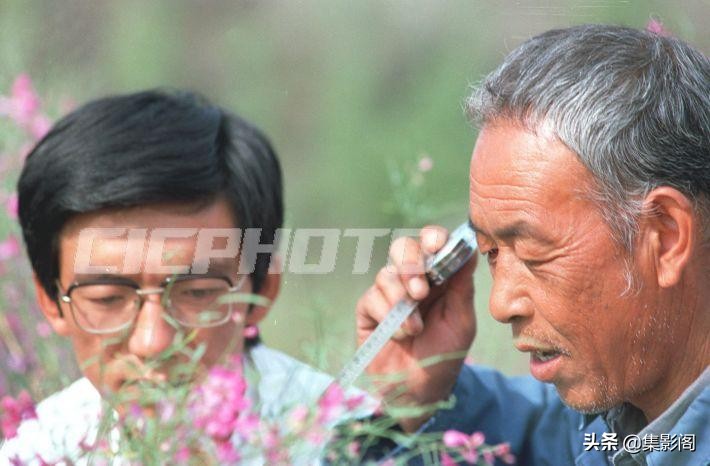 榆林市镇川镇老照片 (榆林市卫校老照片)