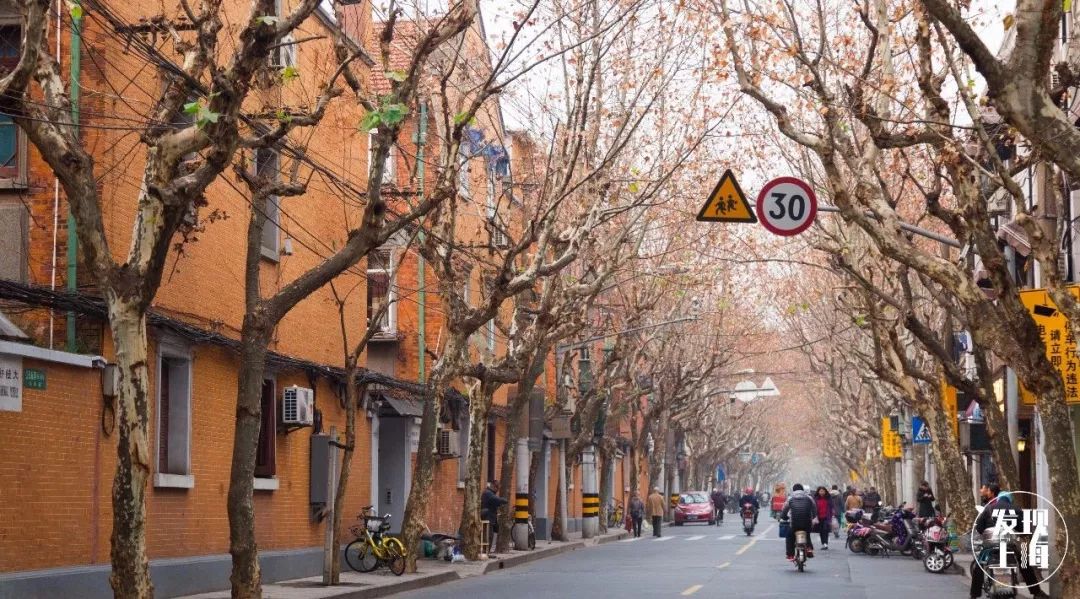 生日当天上海免费景点,上海网红打卡地点景点免费