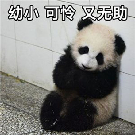 大学期末考试真的会有白给的题嘛,各大高校期末考试题