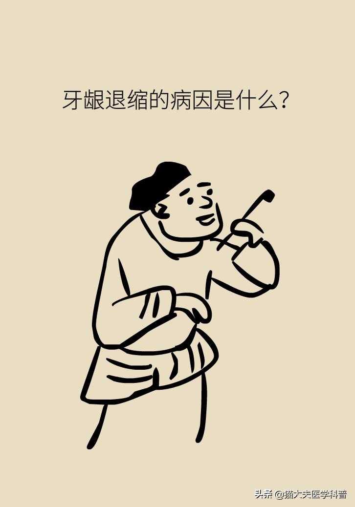 牙根暴露了该怎么刷牙,牙根治疗后可以刷牙吗