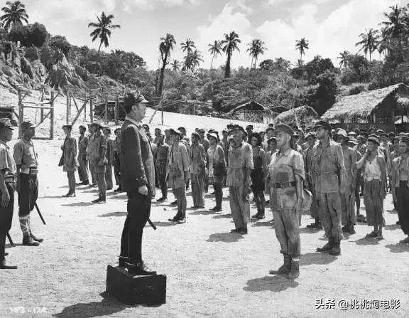 值得一看的一百部电影,重温经典100部电影