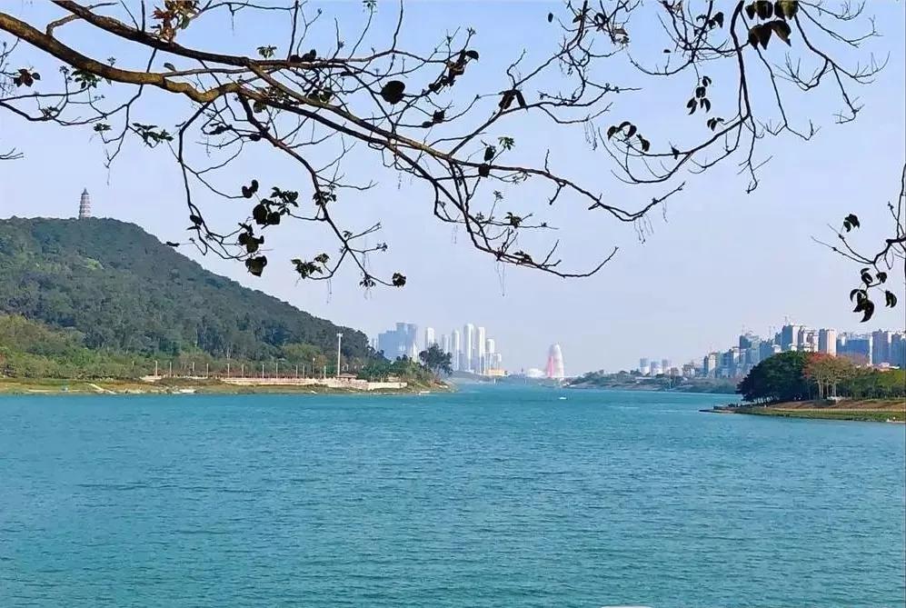 广西坐拥好水，为何打不出好“牌”|论道网观察