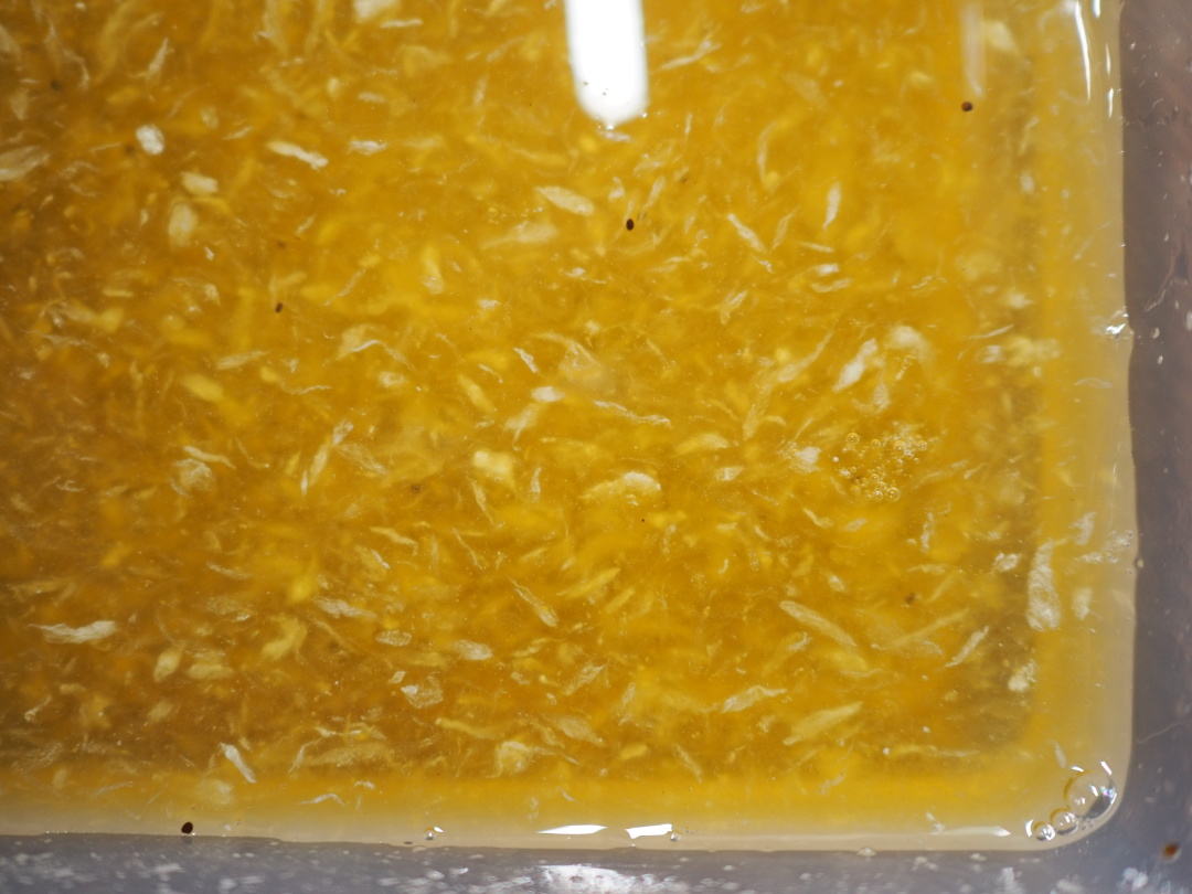 手搓冰粉一碗份量,怎么搓的冰粉颜色白