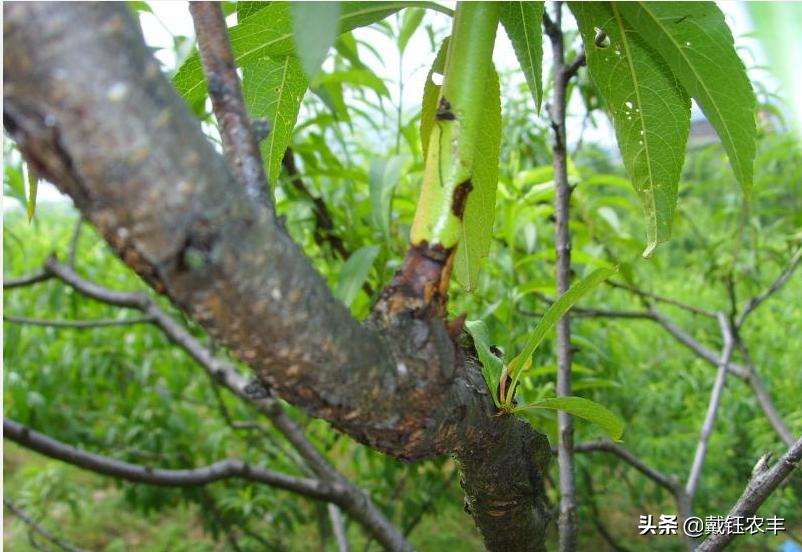 台风利奇马被水淹,利奇马台风水淹几米