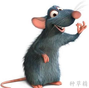 粘鼠板粘到老鼠怎么去除,粘鼠板粘到老鼠怎么处理