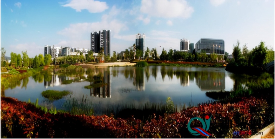 试试、看看、等等，算命式医生害死人：乡镇就医三原则