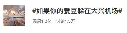 沙特在大兴机场投资800亿,大兴机场800亿从哪里来