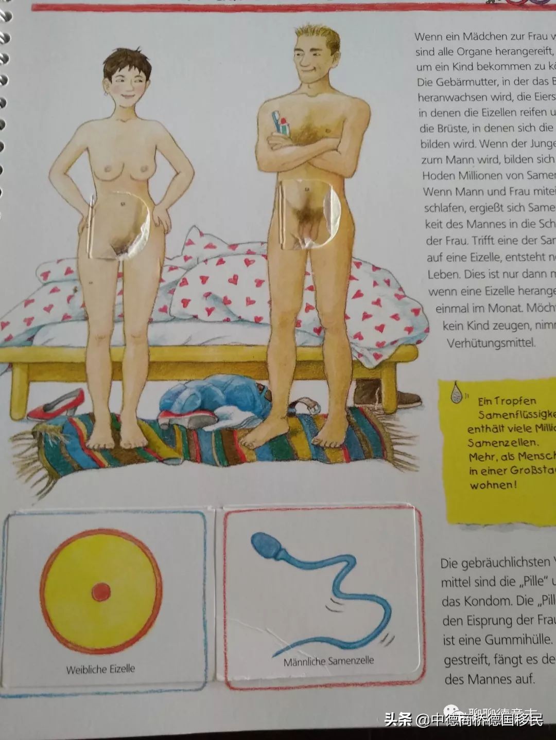 儿童性启蒙教育绘本,德国3-6岁幼儿园教育方法