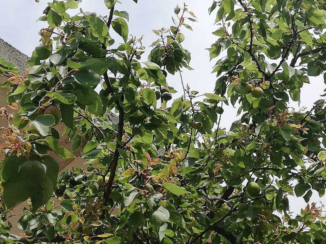 闲着木事儿，你来俺家玩儿呗