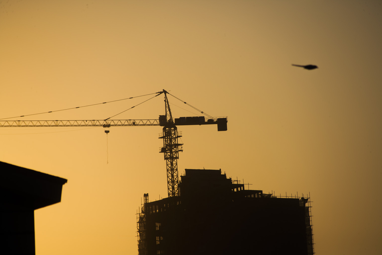 镜头霉变怎么办,相机镜头里面发霉了怎么处理