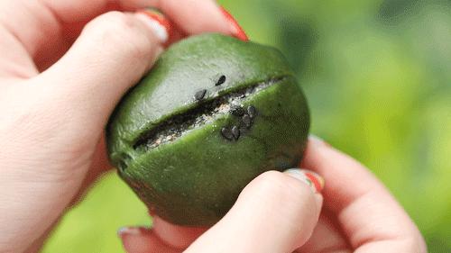 不时不食|有一种念念不忘,叫做青团