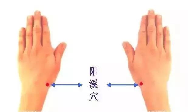 全球公认视力恢复法,眼部训练视力恢复法