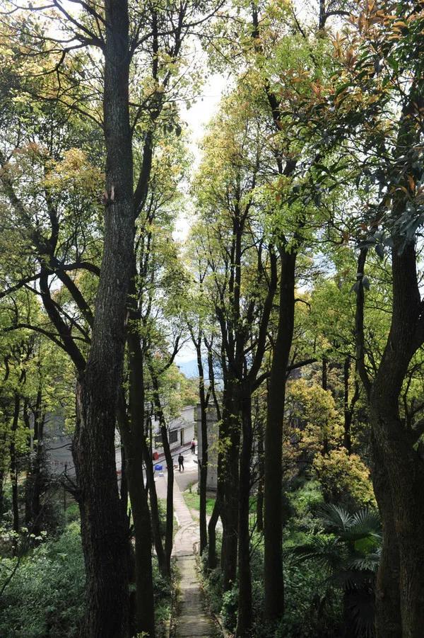 骆崃山景点,骆崃山门票