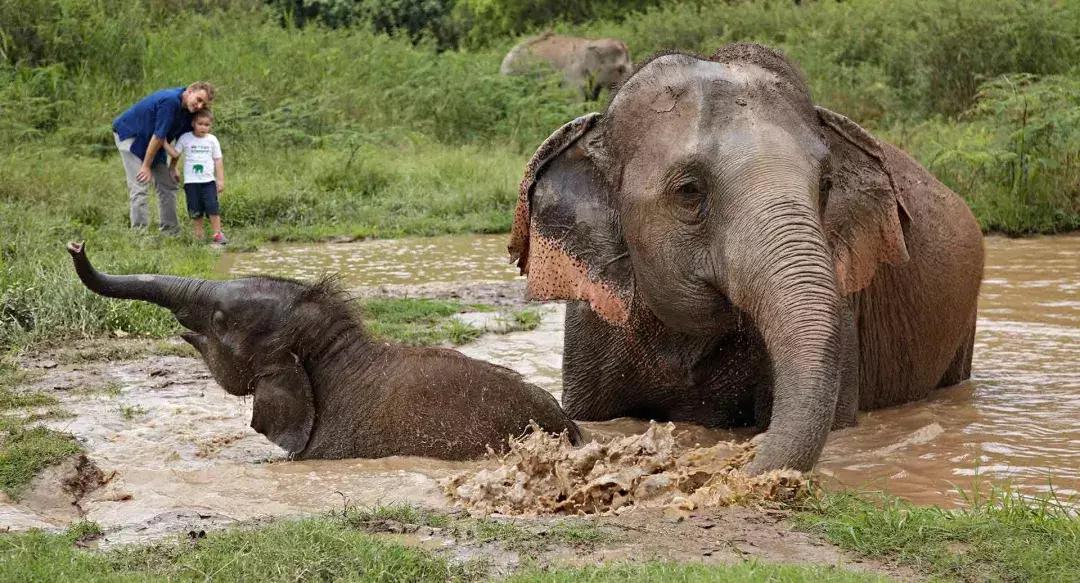 泰国泼水节狂欢六日游,泰国泼水节电音节攻略