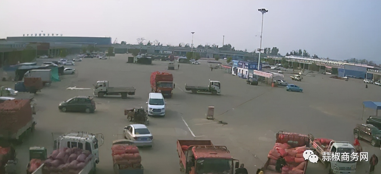 2022年8月11日大蒜价格多少,2021年12月15日大蒜价格