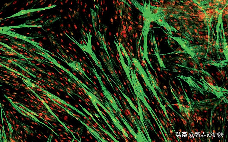 欧莱雅太空霜适合什么皮肤,欧莱雅太空霜和零点面霜