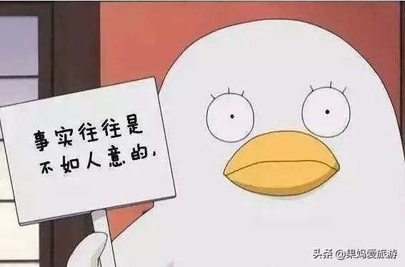 泰国免税店坑人吗,泰国到底有没有假货