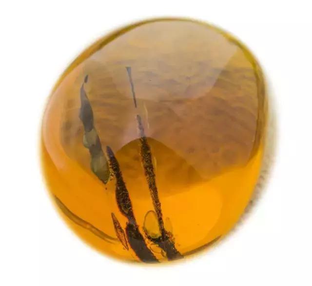 波罗的海蜜蜡的最全分类专业篇,蜜蜡的种类及名称和图片