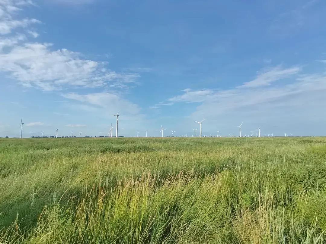 一派和谐的自然风光,一派祥和的自然风光