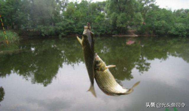 钓鱼抛竿主线容易缠线怎么办,抛竿钓大鱼线多长合适