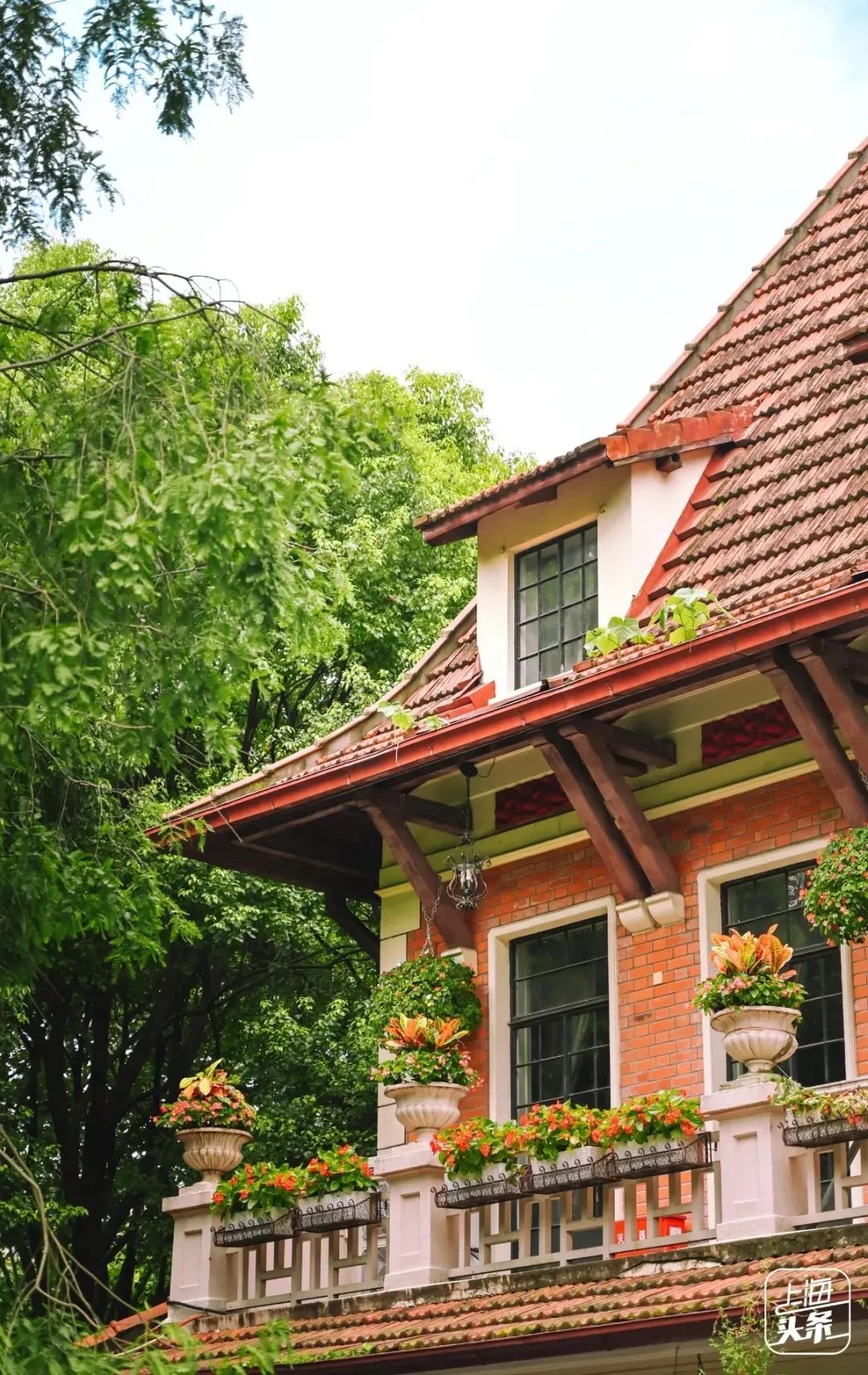 上海必逛的十条马路,上海比较有名的小马路