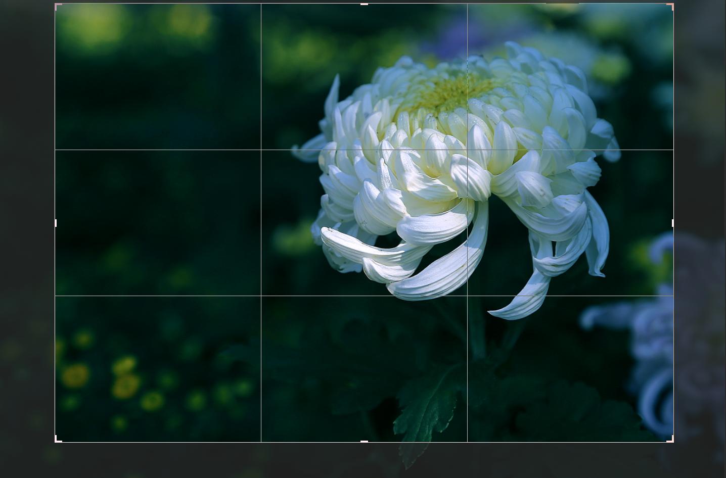 后期照片处理需要什么条件,后期如何把相片处理的清晰干净