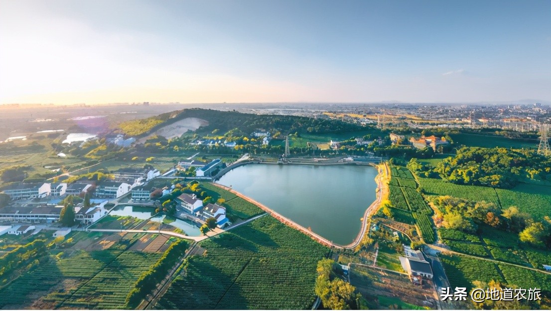 农场乡村振兴具体实施哪些项目,乡村振兴都市型休闲农业发展前景