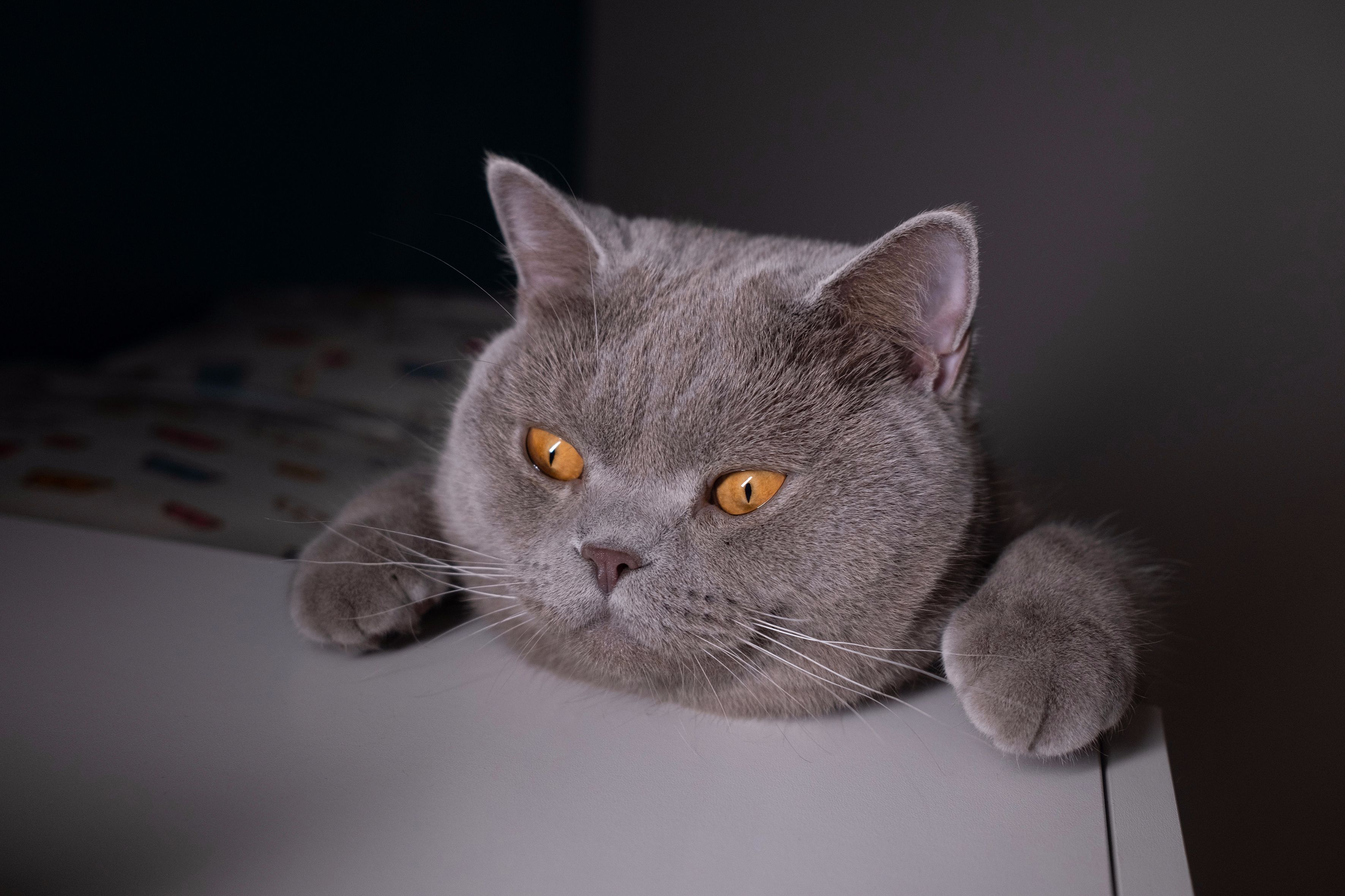 迟到的618好物推荐,618影像神器