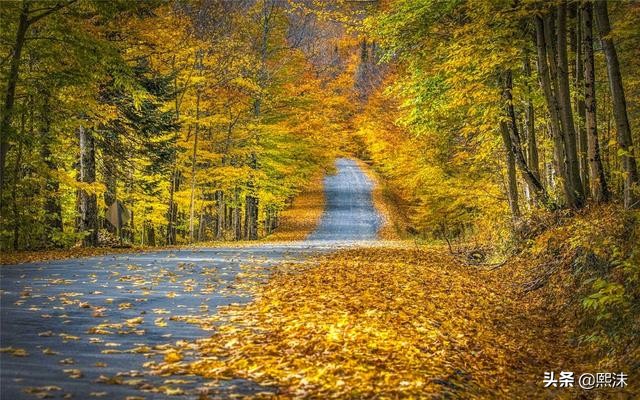 十一月很孤单,十一月孤独寂寞