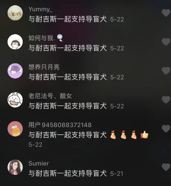 感谢15888名导盲犬支持者，1吨耐吉斯犬粮已送达导盲犬基地