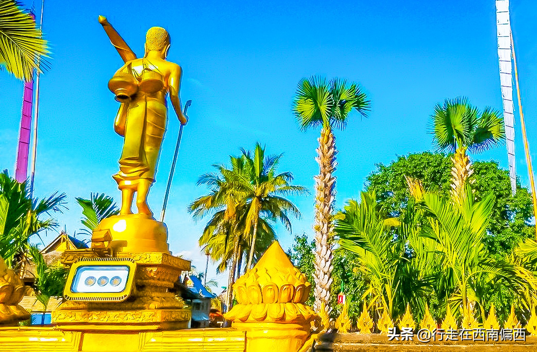 西双版纳五树六花景点,西双版纳都有哪些开花的树