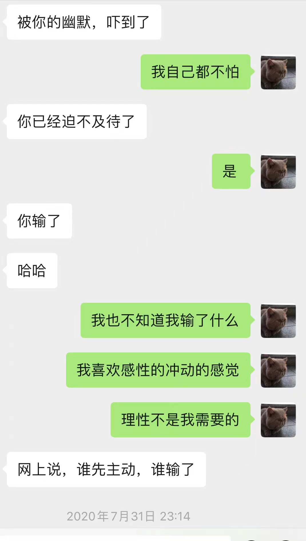 q蒂有几种口味,唯有热爱方可抵御岁月漫长