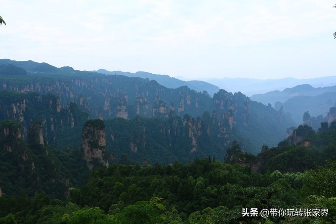 到张家界天门山自助游价格多少钱,武汉到张家界天门山三日游