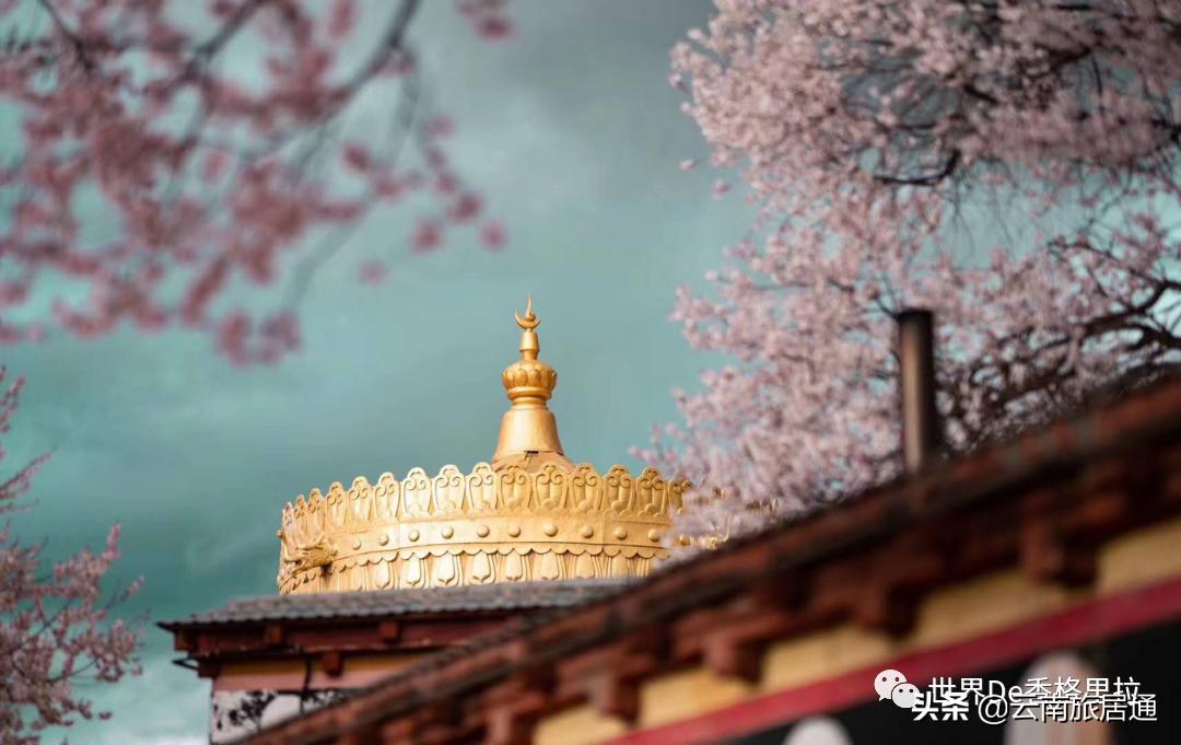 最好的风景在路上云南,有一种山叫云南的山